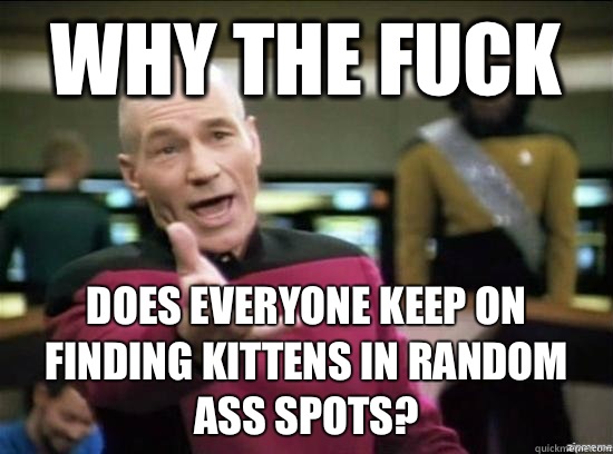 Why the fuck does everyone keep on finding kittens in random ass spots?  Annoyed Picard HD