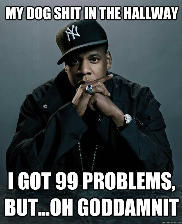 My dog shit in the hallway I got 99 problems, but...oh goddamnit  Jay Z Problems