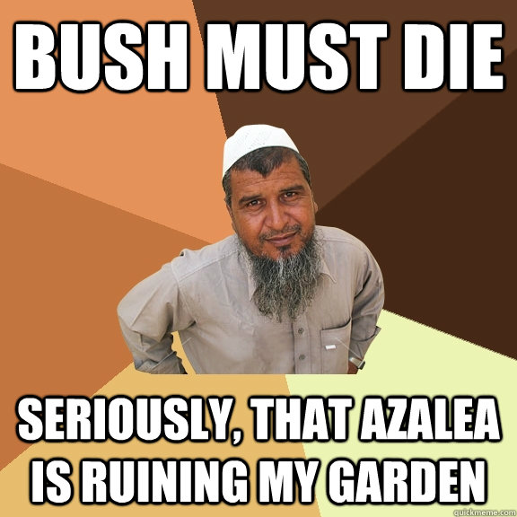 bush must die seriously, that azalea is ruining my garden  Ordinary Muslim Man
