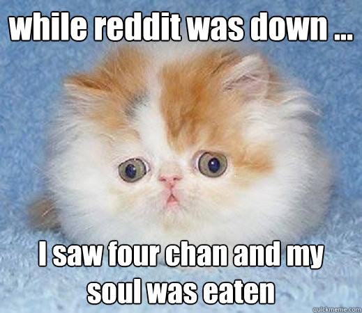 while reddit was down ... I saw four chan and my soul was eaten - while reddit was down ... I saw four chan and my soul was eaten  Loss of Innocence Cat