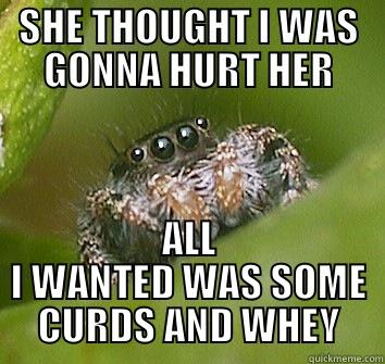 SHE THOUGHT I WAS GONNA HURT HER ALL I WANTED WAS SOME CURDS AND WHEY Misunderstood Spider