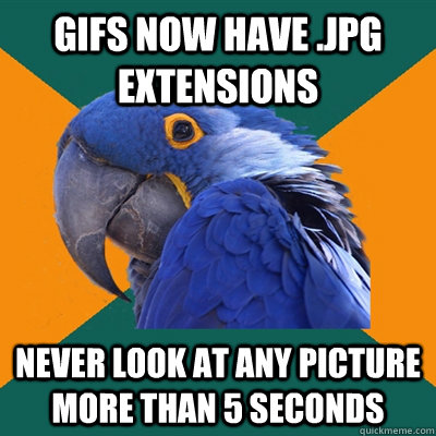 gifs now have .jpg extensions never look at any picture more than 5 seconds  Paranoid Parrot