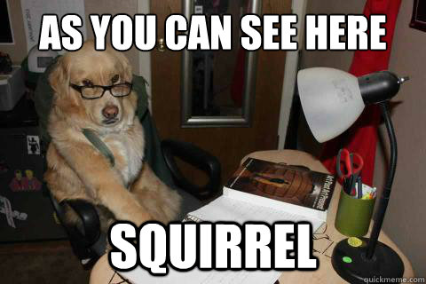 as you can see here squirrel - as you can see here squirrel  Financial Advice Dog