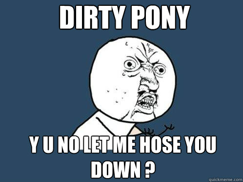 Dirty Pony  Y U NO LET ME HOSE YOU DOWN ?  Y U No
