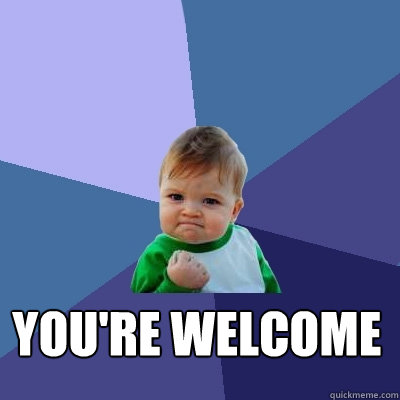  You're Welcome -  You're Welcome  Success Kid