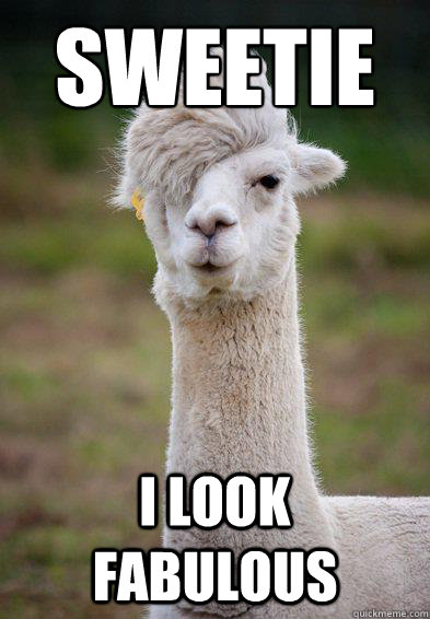 sweetie i look fabulous - sweetie i look fabulous  Hipster Llama