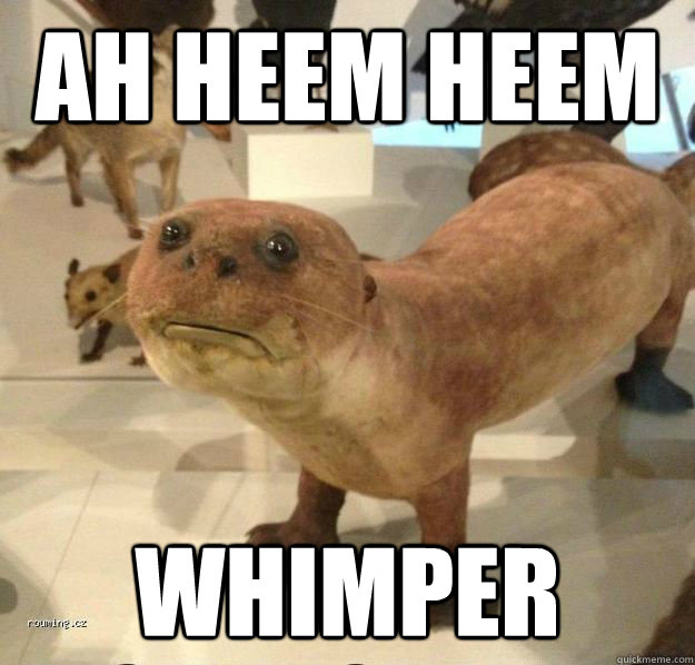 AH HEEM HEEM WHIMPER - AH HEEM HEEM WHIMPER  Substandard Otter Taxidermy