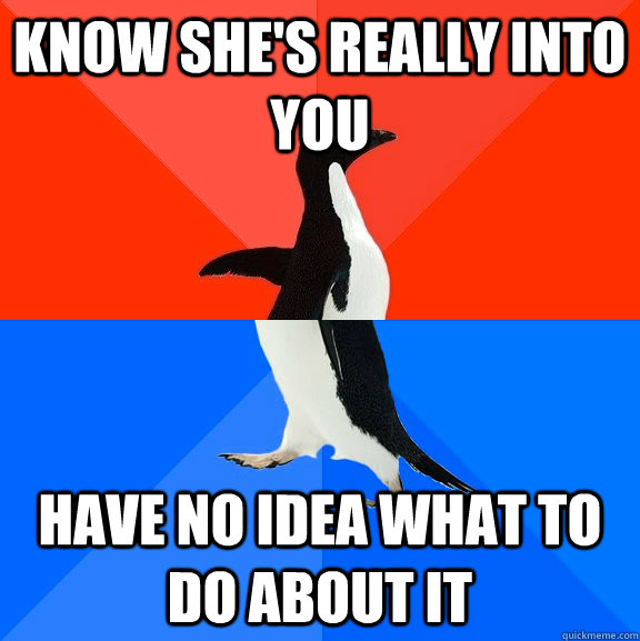 Know she's really into you Have no idea what to do about it  Socially Awesome Awkward Penguin