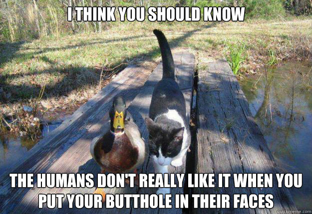 i think you should know the humans don't really like it when you put your butthole in their faces - i think you should know the humans don't really like it when you put your butthole in their faces  Boat advice