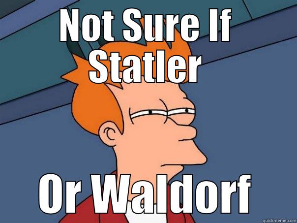 NOT SURE IF STATLER OR WALDORF Futurama Fry