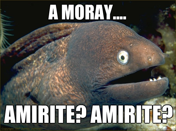 A Moray.... Amirite? Amirite?  Caught in the act Moray
