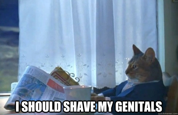  I should shave my genitals -  I should shave my genitals  Sophisticated Cat