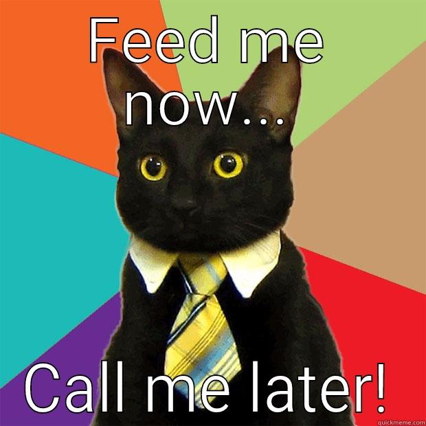 FEED ME NOW... CALL ME LATER! Business Cat