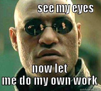                  SEE MY EYES NOW LET ME DO MY OWN WORK Matrix Morpheus
