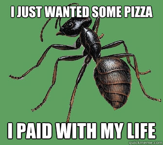 I just wanted some pizza I paid with my life - I just wanted some pizza I paid with my life  Bad Decision Ant