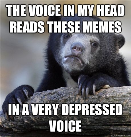 The voice in my head reads these memes  In a very depressed voice   Confession Bear