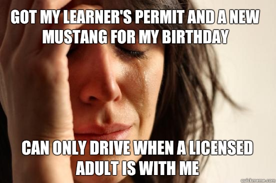 Got my learner's permit and a new mustang for my birthday  Can only drive when a licensed adult is with me - Got my learner's permit and a new mustang for my birthday  Can only drive when a licensed adult is with me  First World Problems