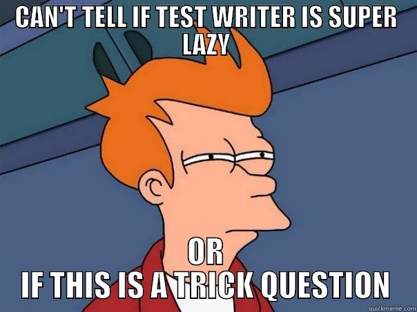 CAN'T TELL IF TEST WRITER IS SUPER LAZY OR IF THIS IS A TRICK QUESTION Futurama Fry