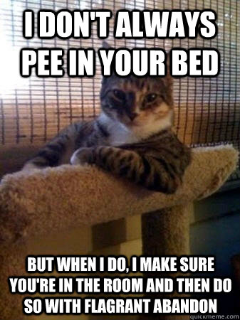 I don't always pee in your bed but when I do, i make sure you're in the room and then do so with flagrant abandon  The Most Interesting Cat in the World