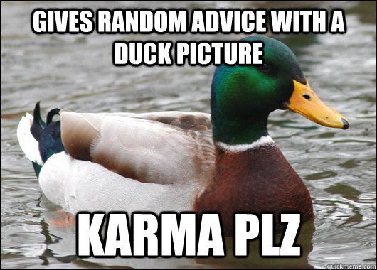 GiveS random advice with a duck picture KARMA PLZ  Actual Advice Mallard