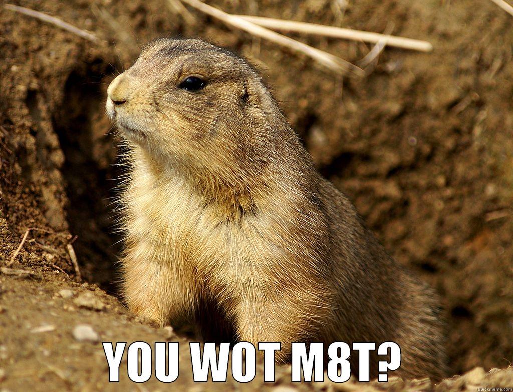  YOU WOT M8T? Misc