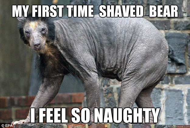 My First time  shaved  bear I feel so naughty - My First time  shaved  bear I feel so naughty  beargonewild