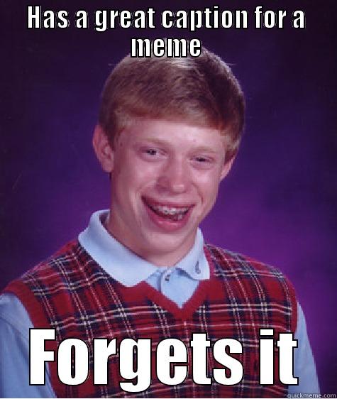 HAS A GREAT CAPTION FOR A MEME FORGETS IT Bad Luck Brian