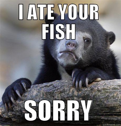 I ATE YOUR FISH SORRY Confession Bear