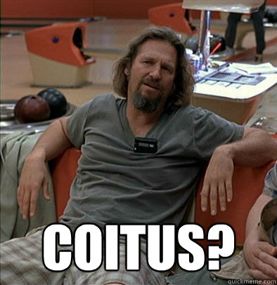  Coitus?  most posts on ratheism