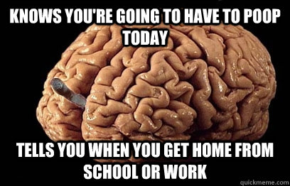 Knows you're going to have to poop today  Tells you when you get home from school or work  Good Guy Brain