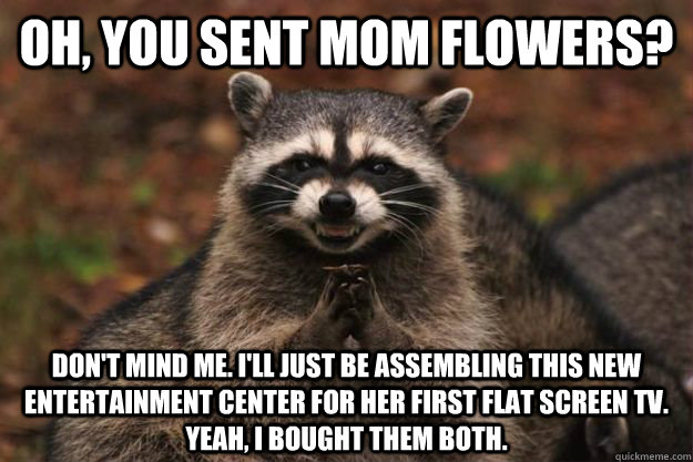 Oh, you sent mom flowers? Don't mind me. I'll just be assembling this new entertainment center for her first flat screen TV. Yeah, I bought them both.  Evil Plotting Raccoon