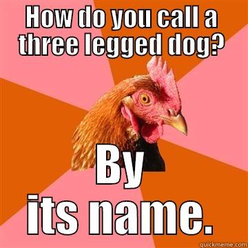 Also, loudly helps. - HOW DO YOU CALL A THREE LEGGED DOG? BY ITS NAME. Anti-Joke Chicken
