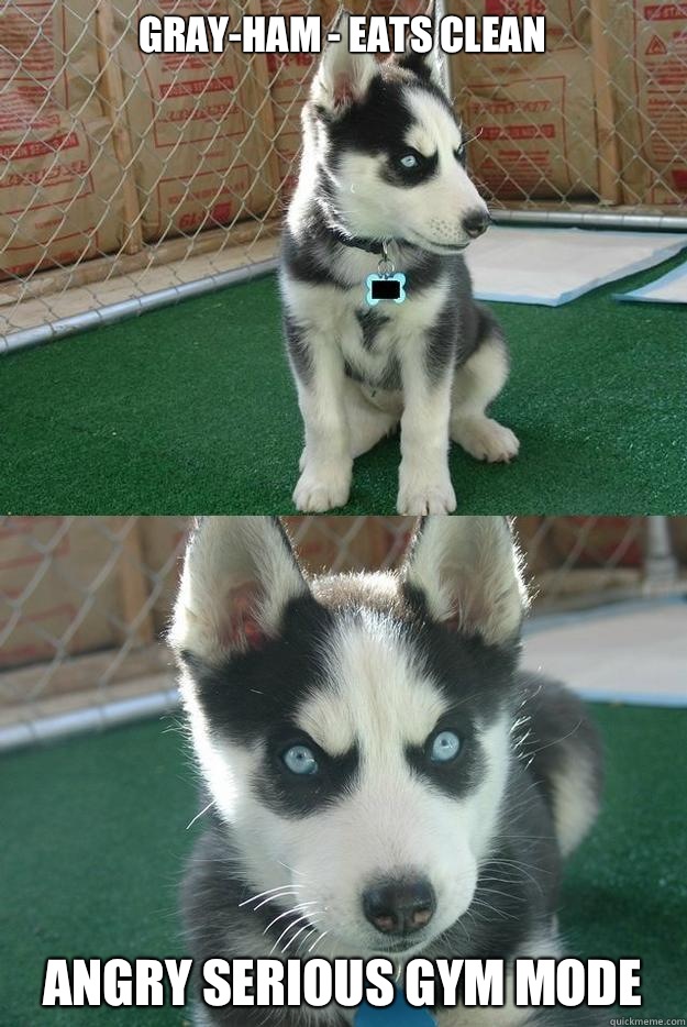 Gray-Ham - eats clean Angry serious gym mode  Insanity puppy