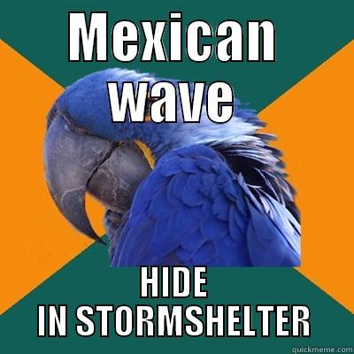 MEXICAN WAVE HIDE IN STORMSHELTER Paranoid Parrot