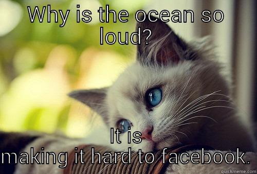 Have to facebook - WHY IS THE OCEAN SO LOUD? IT IS MAKING IT HARD TO FACEBOOK. First World Problems Cat
