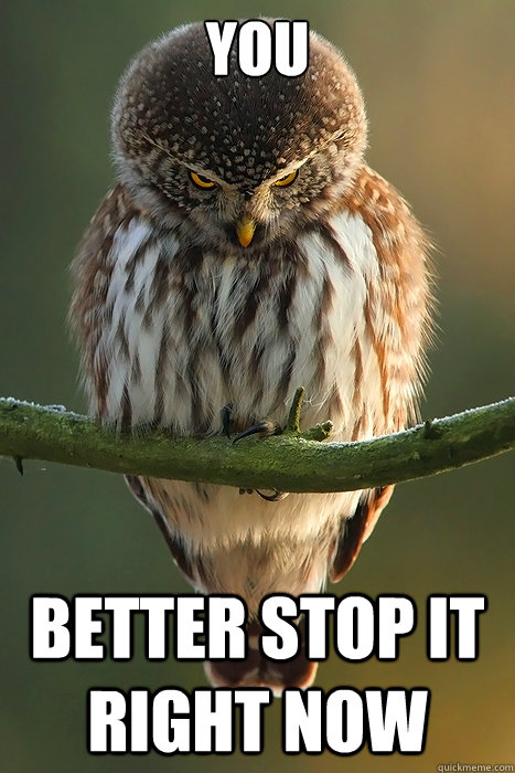 You Better stop it right now  Angry Owl