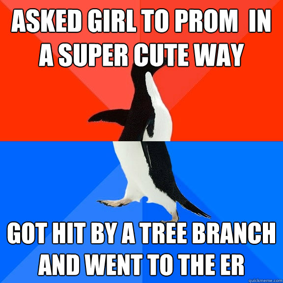 Asked girl to prom  in a super cute way got hit by a tree branch and went to the ER  Socially Awesome Awkward Penguin
