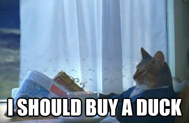  I SHOULD BUY A DUCK  Sophisticated Cat