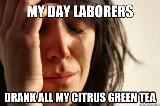 My day laborers drank all my citrus green tea  First World Problems