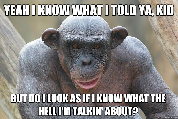 Yeah I know what I told ya, kid But do I look as if I know what the hell I'm talkin' about?  The Most Interesting Chimp In The World