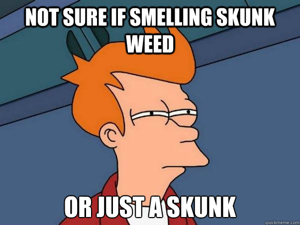 Not sure if smelling skunk weed or just a skunk  Not sure Fry