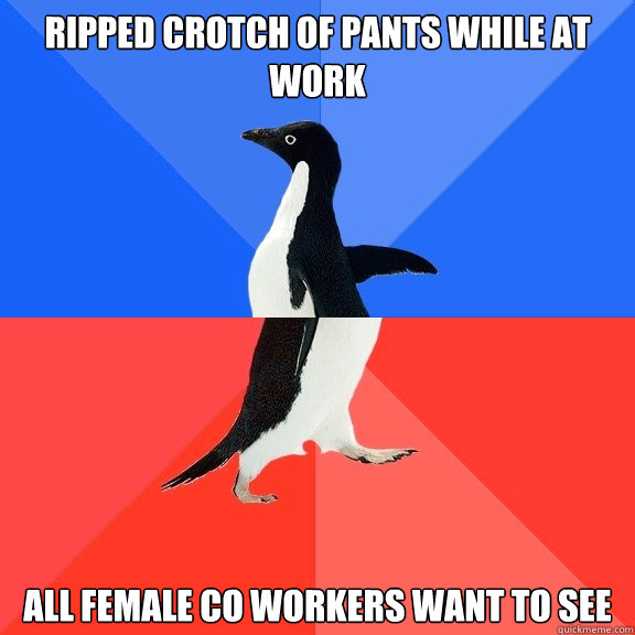 Ripped crotch of pants while at work All female co workers want to see  Socially Awkward Awesome Penguin