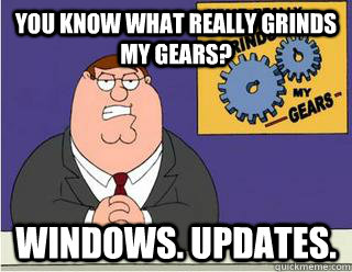 You Know What really grinds my gears? windows. updates.  Grinds my gears