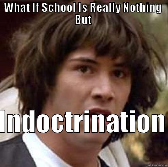 WHAT IF SCHOOL IS REALLY NOTHING BUT INDOCTRINATION conspiracy keanu