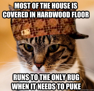 Most of the house is covered in hardwood floor Runs to the only rug when it needs to puke  Scumbag Cat