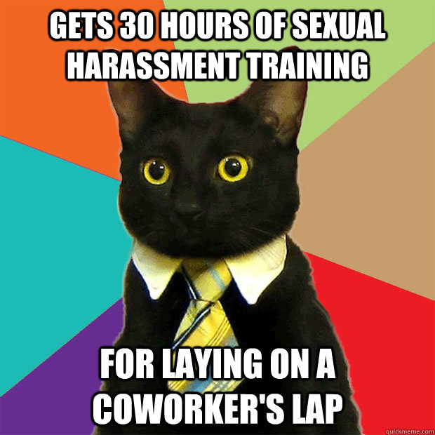 gets 30 hours of sexual harassment training for laying on a coworker's lap   Business Cat