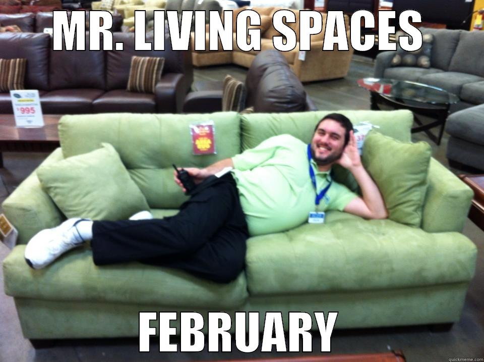 MISTER LIVING SPACES - MR. LIVING SPACES FEBRUARY Misc