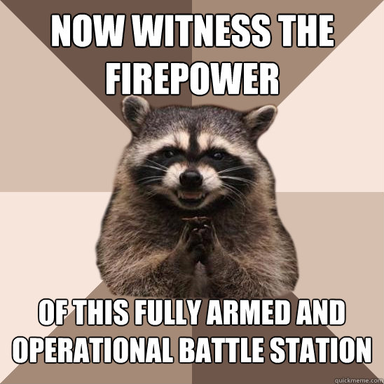 Now witness the firepower of this fully ARMED and OPERATIONAL battle station  Evil Plotting Raccoon
