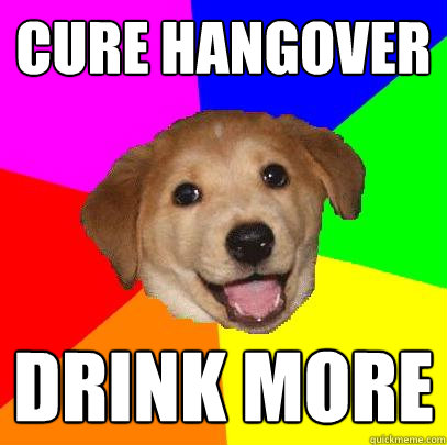 Cure hangover Drink More  Advice Dog