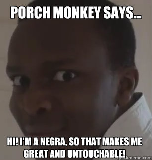 Porch Monkey says... Hi! I'm a negra, so that makes me great and untouchable!  KSIolajidebt